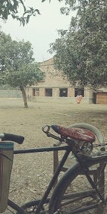 IDEAL KINDERGARTEN