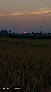 Alekha mattha