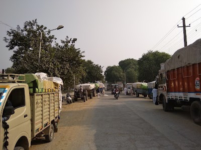 GRAIN MARKET