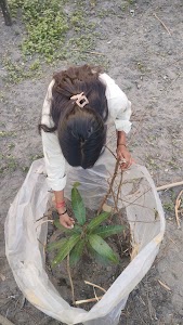 Chunabhatti Ground