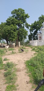 Pota Kabulpur