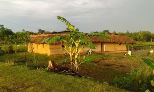 Paharpur