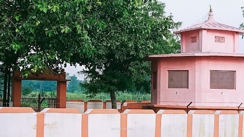 Aripur Saraya