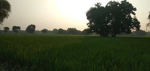 Dogra regiment gate