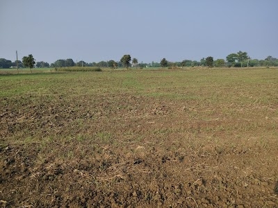 Devmali Darbar Dairy