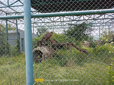Gkp Zoo