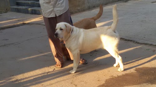 Balaji Nagar, Kukatpally