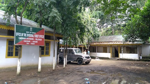 Forest Office