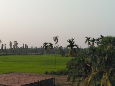Dhitai Bashan
