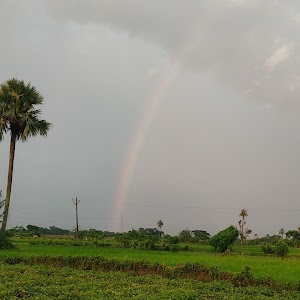 Mazompur