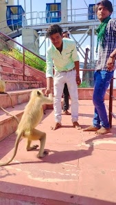 Shankar golden transport co