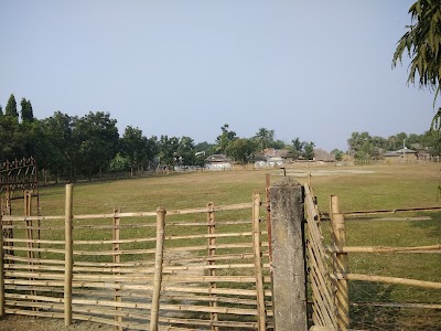 Mamudur Play Ground মামুদপুর খেলার মাঠ