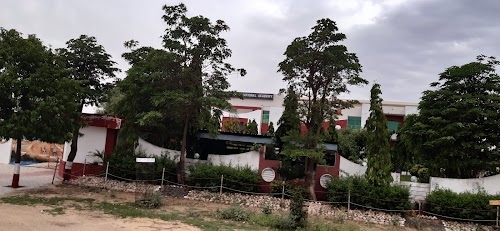 Shekhawati International Academy