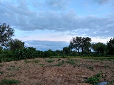 Kajla organic farm