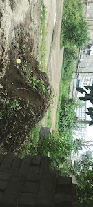 hojiwala