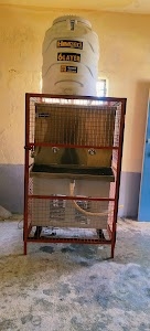 Bhandari pawitr bojnaly bhaintllkal