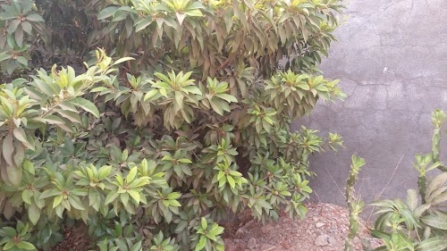 GaneshPura Club