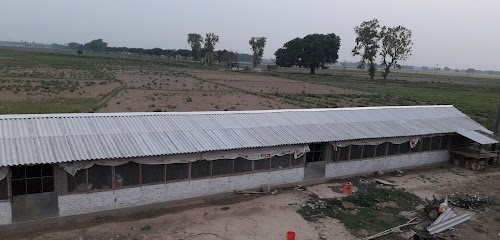 Patna