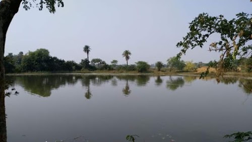 Sarasara