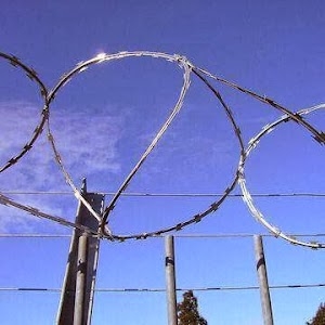 Weld Mesh - KANSAL WIRE