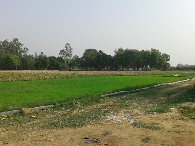 Alipur Jita Aamad Hatha Gaon