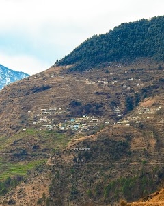 Jakhol