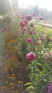 Pampore Grid Station