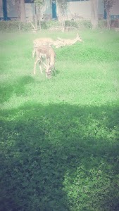 Dattpur Kunjpur