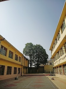 Mount Carmel School