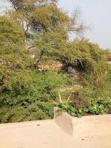 Gaura Nagar Colony