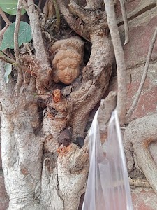 Mata rani mandir