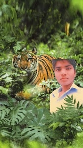 Pachaver