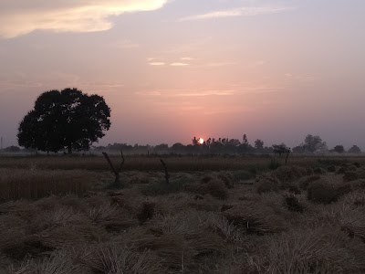 Abhilakh singh kushwaha