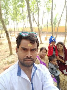 Dulupur