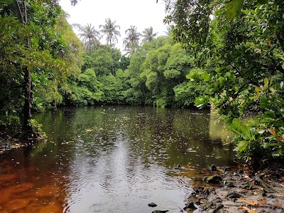 Paree Fengandu