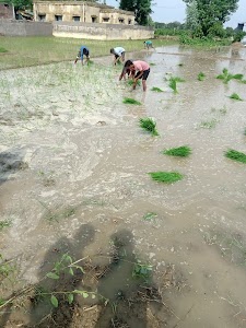 Jalla Pur