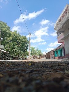 Mansingha
