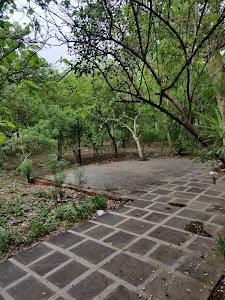 Company bagh