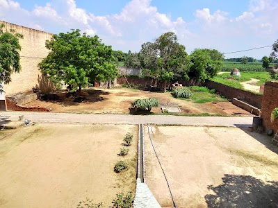 Tyagi Farms
