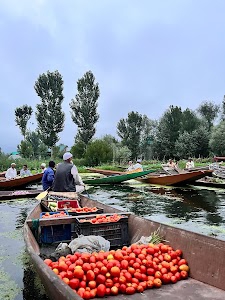 Vegetable market dal lake