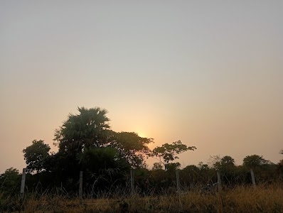 Gurda