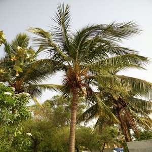 HAL Township, Balanagar