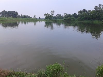 Gazina Daspur