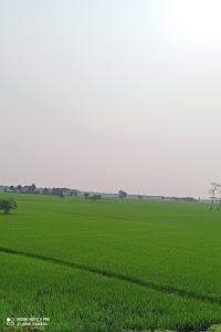Kamarda