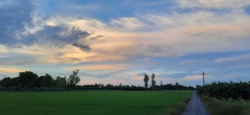 Hamid's farm house