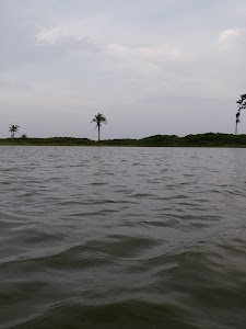 Hadowary Pond