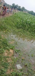 Gohiya pool