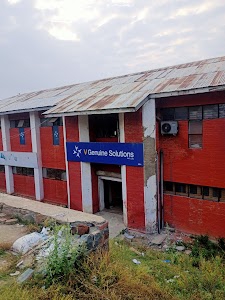 v genuine solutions
