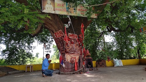 जय माँ मनसा देवी