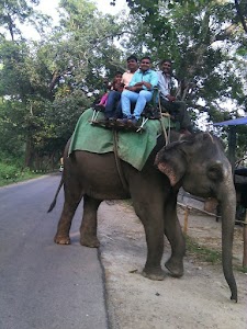 Nainital Tourism | Nainital Tour Pacakges Booking Office | Nainital Taxi Service Provider
